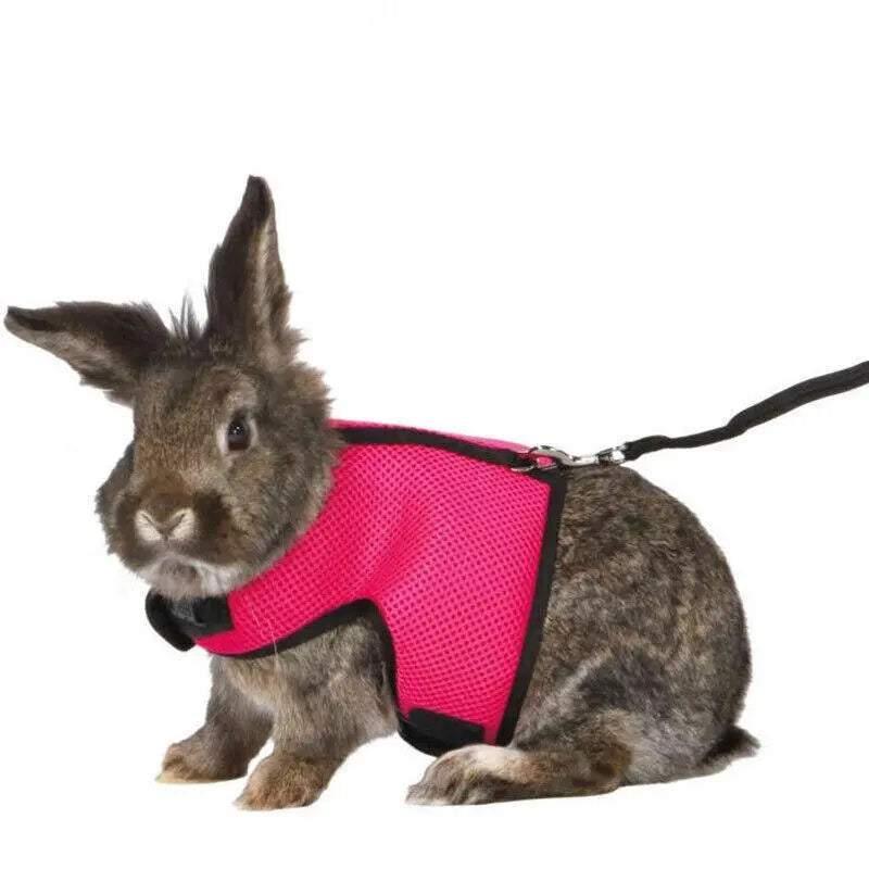 Small Animal Harness Guinea Pig Forret Hamster Rabbit Squirrel Vest Clothes Lead