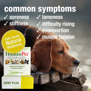 HomeoPet Joint Stress 15ml