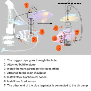 Transparent Aquarium Fish Breeding Box with Versatile Features