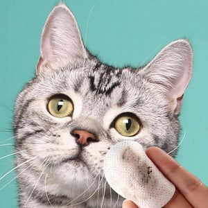 130pcs Pet Eye and Ear Cleaning Wipes Effective Dog and Cat Tear Stain Remover