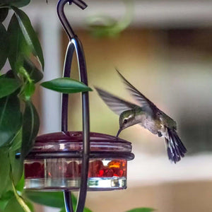 Metal Hummingbird Feeder Simple Design Durable Outdoor Garden Bird Water Feeder