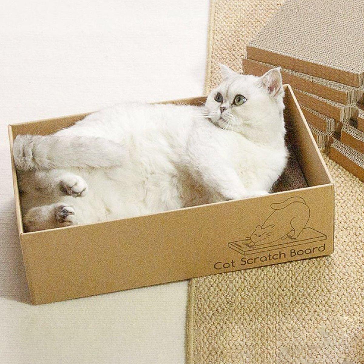 Cat Scratching Boards with Cardboard Box - 5 Pieces Set