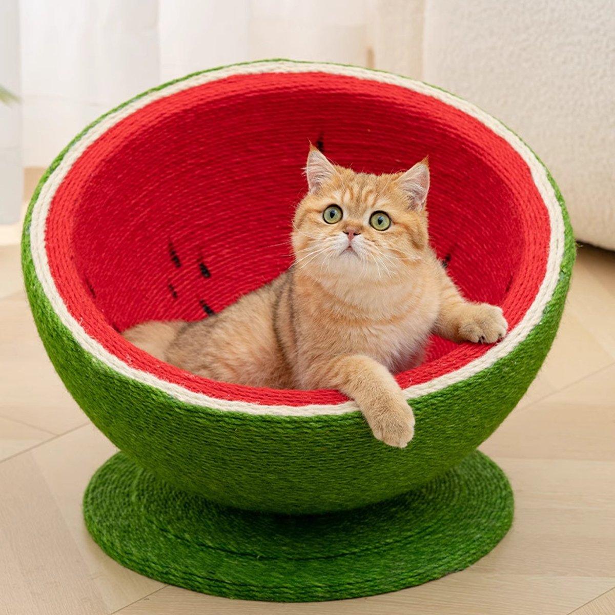 Watermelon Cat Scratching Pot Board Scratcher Toy for Cats Kitten