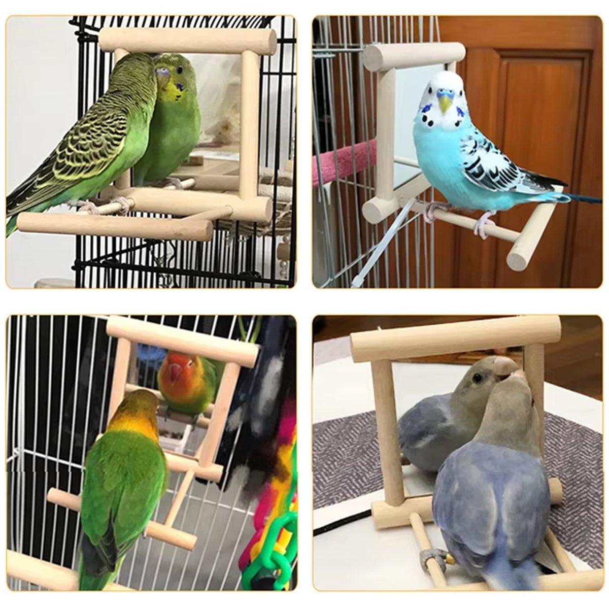 Bird Mirror with Perch 2-in-1 Toy Stand for Small to Medium Birds