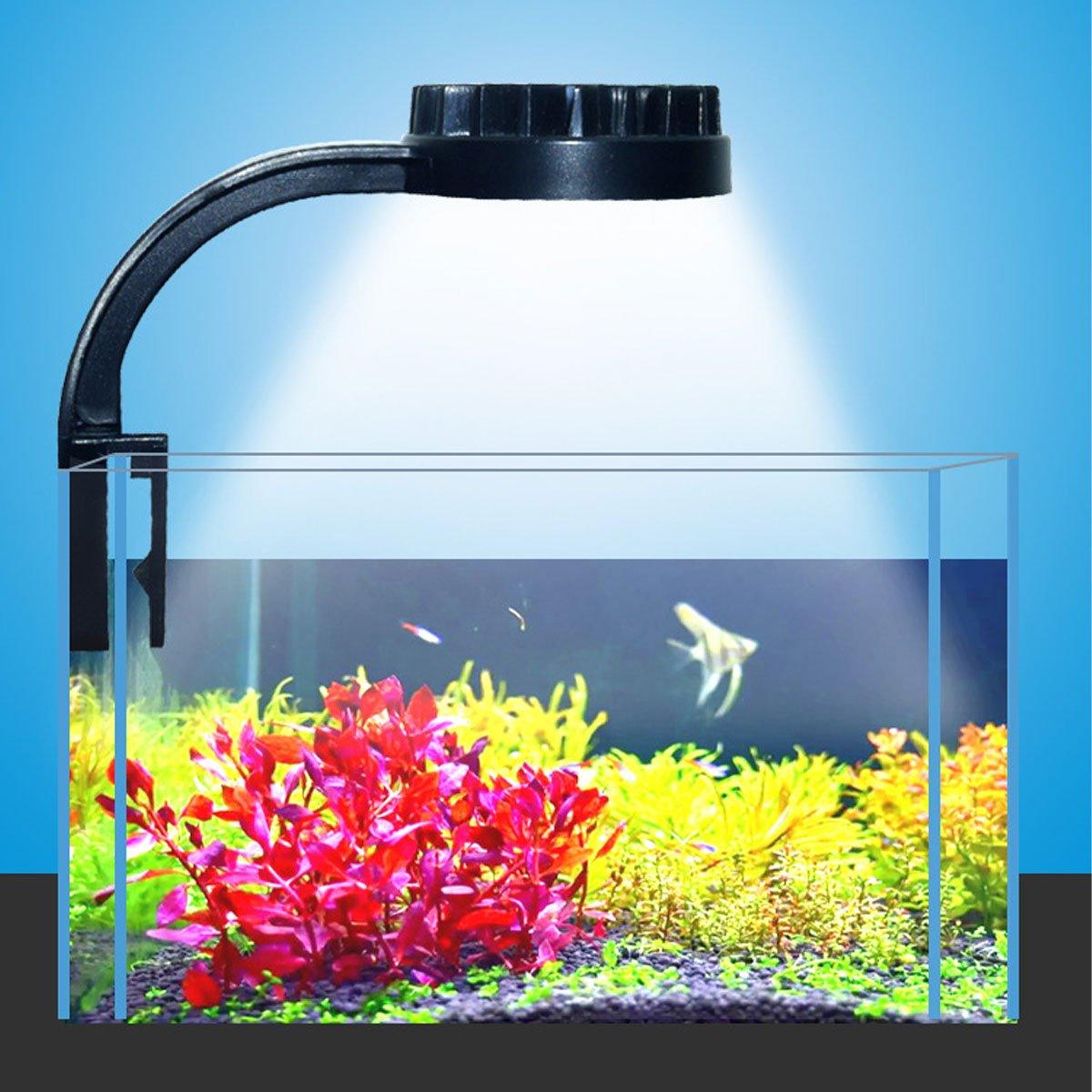 Efficient aquarium lights for plants for small fishbowls and desktop aquariums