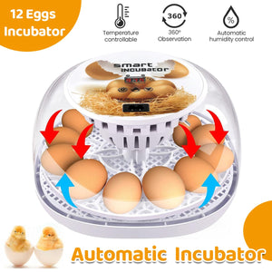 Automatic Small Egg Incubator for Chicken Pigeon