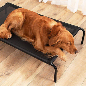 Heavy Duty Pet Raised Bed Elevated Dog Bed