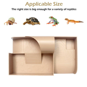 Tortoise Habitat Climbing Platform Durable & Multi-Functional Design