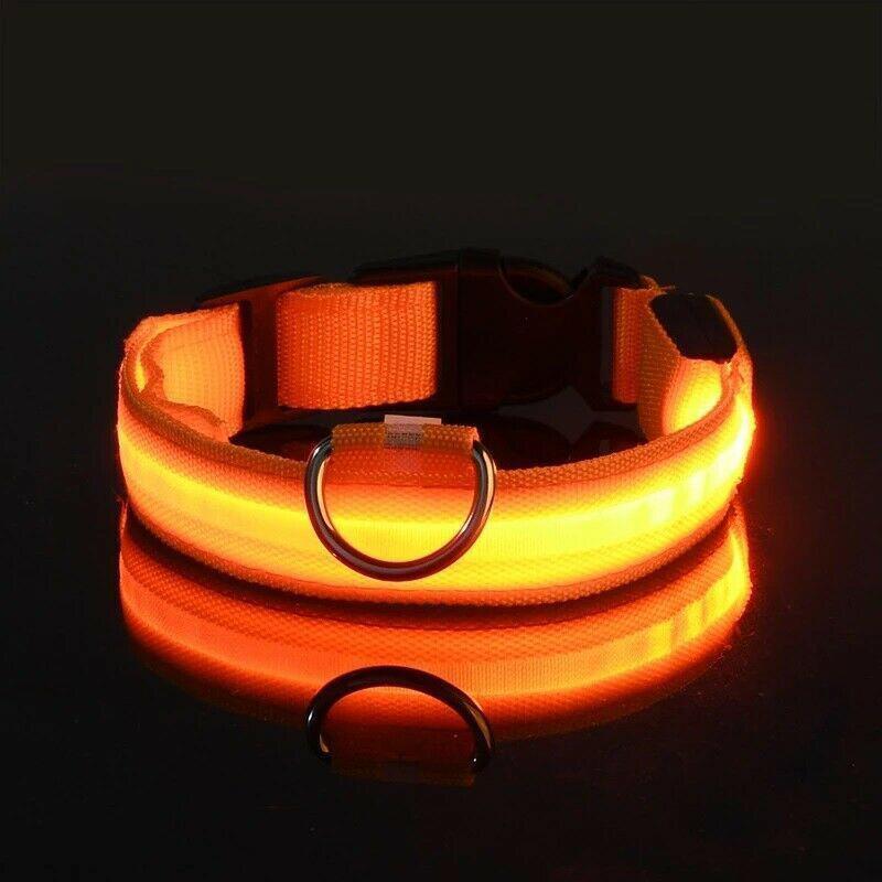 USB Rechargeable Light Up Dog Collar Glow in the Dark Safety for Night Walks