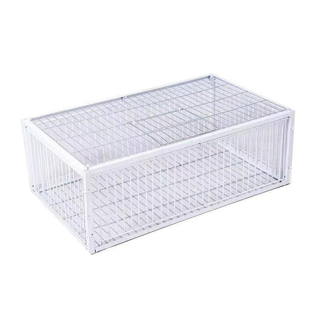 Premium Pigeon Cage with Secure Encrypted Spacing