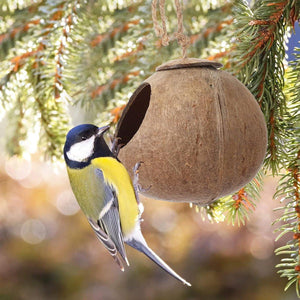 Pet Parrot Nest Wooden Bird House Natural Coconut Shell Feeder