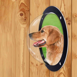 Acrylic Dog Window Semi-round Cover Pet Fence