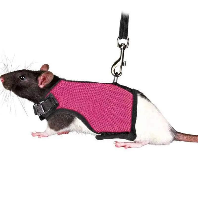 Small Animal Harness Guinea Pig Forret Hamster Rabbit Squirrel Vest Clothes Lead