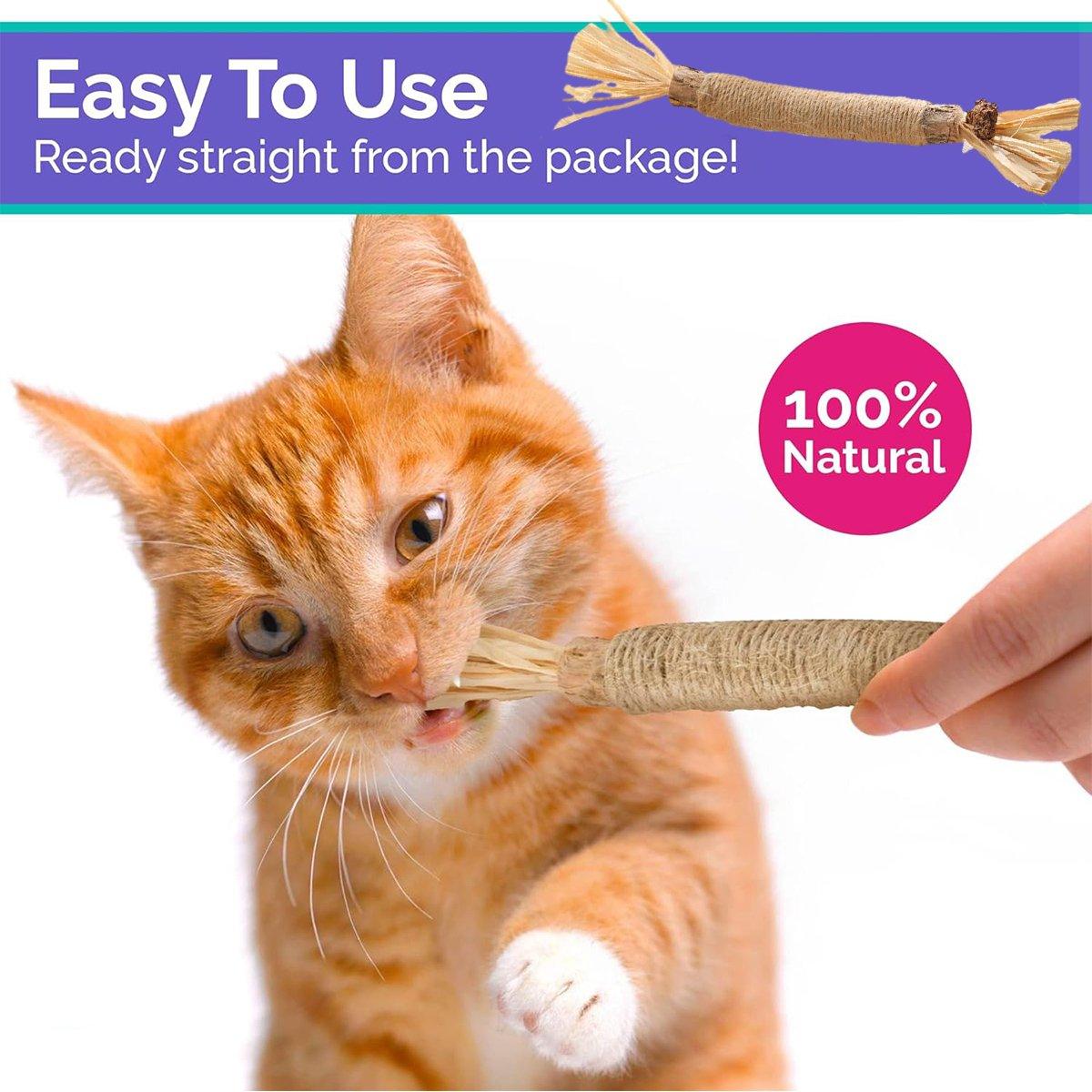 Cat Dental Health Silvervine Sticks Natural Chew Toy