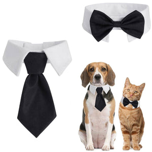 Adjustable Solid Colour Bow Tie Designer Pet Collar For Dog and Cat