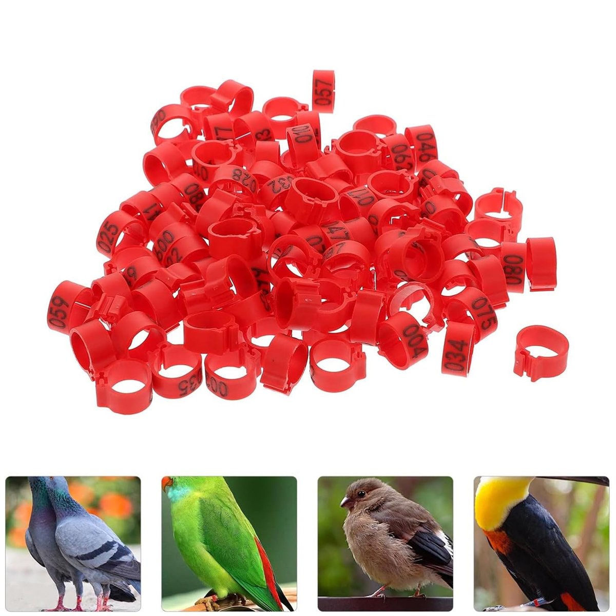 100 Numbered Bird Leg Bands for Poultry