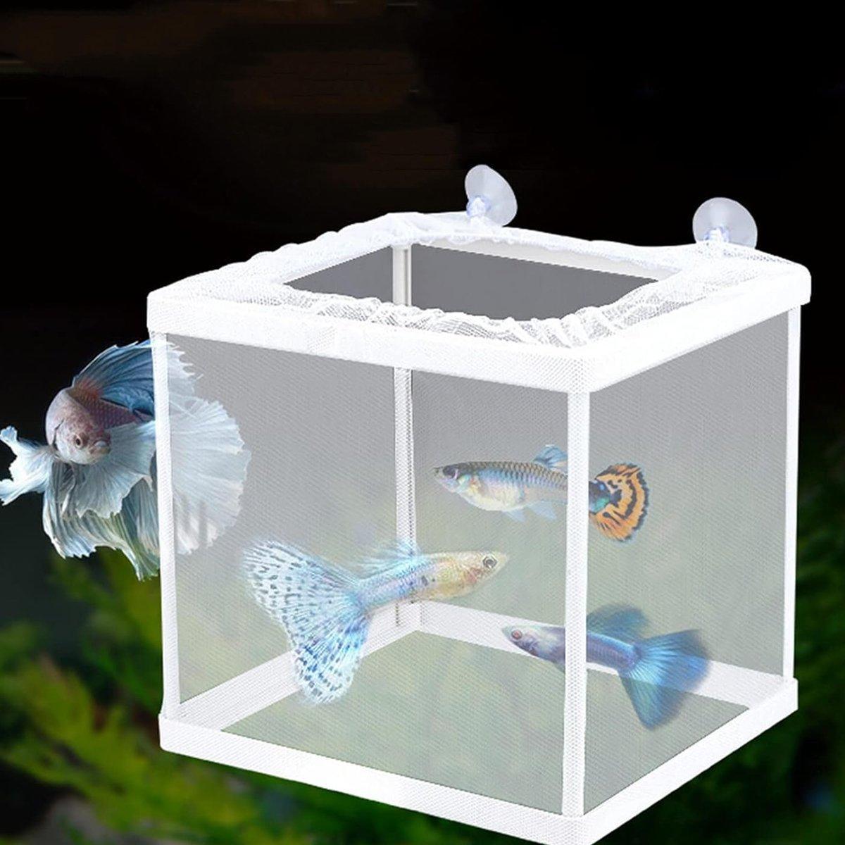 Guppy breeding box for aquariums, transparent fish breeding box, fish fry protection box