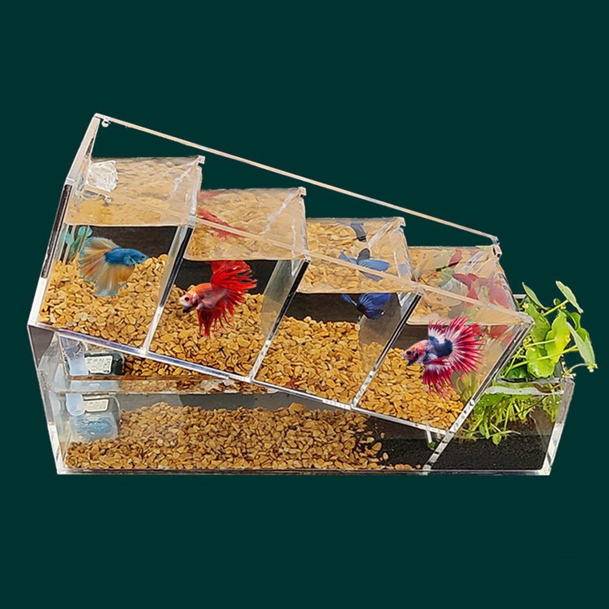 Acrylic Desktop Ecological FishTank Multi-Grid Isolation Self-circulating Water