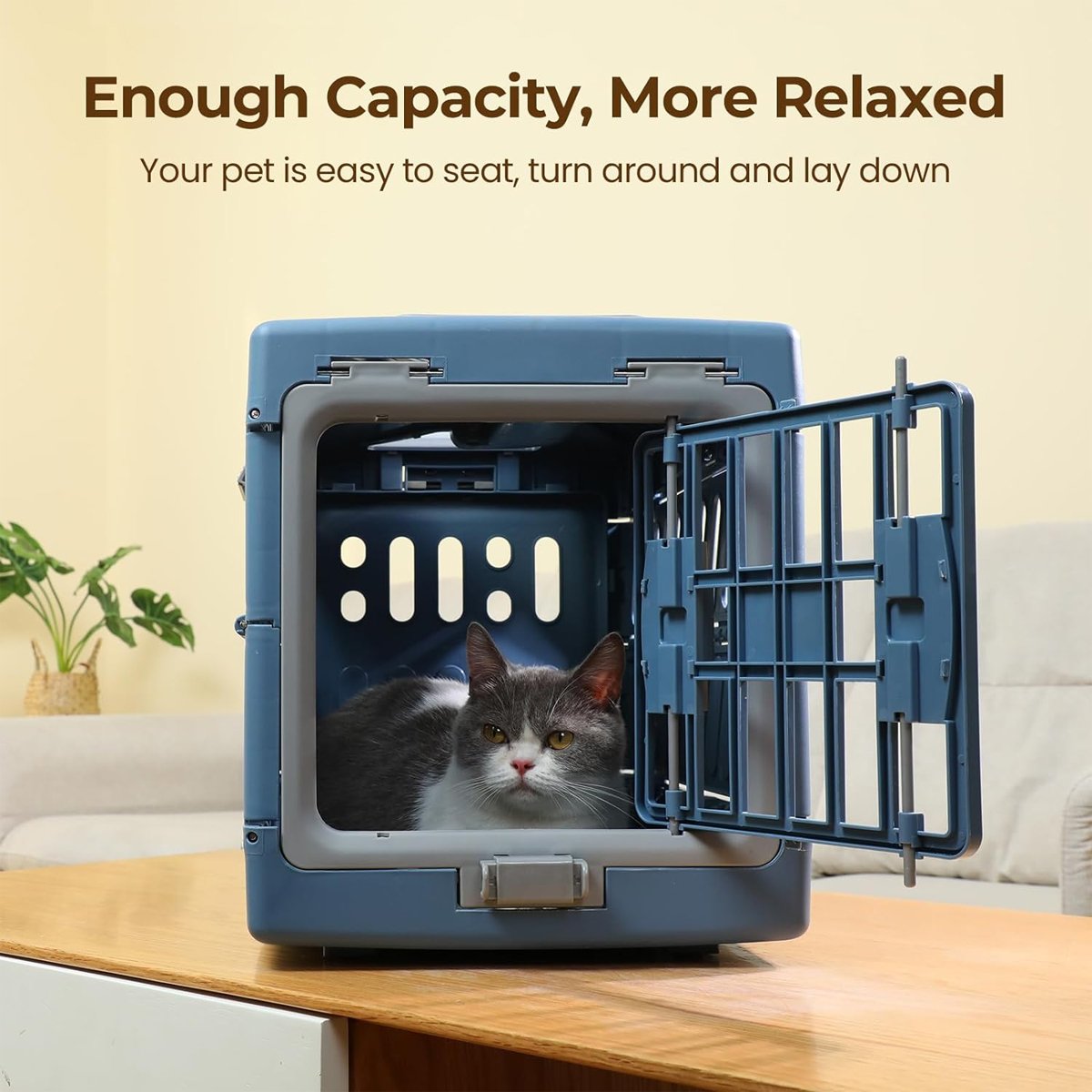 Pet Air Box Folding Portable Cat Crate Removable Dog Consignment Box Space Capsule