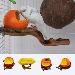 Bird Feeding Bowl Parrot Water Feeder Food Feeding Container