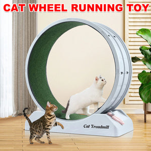 Cat Exercise Wheel for Indoor Fitness