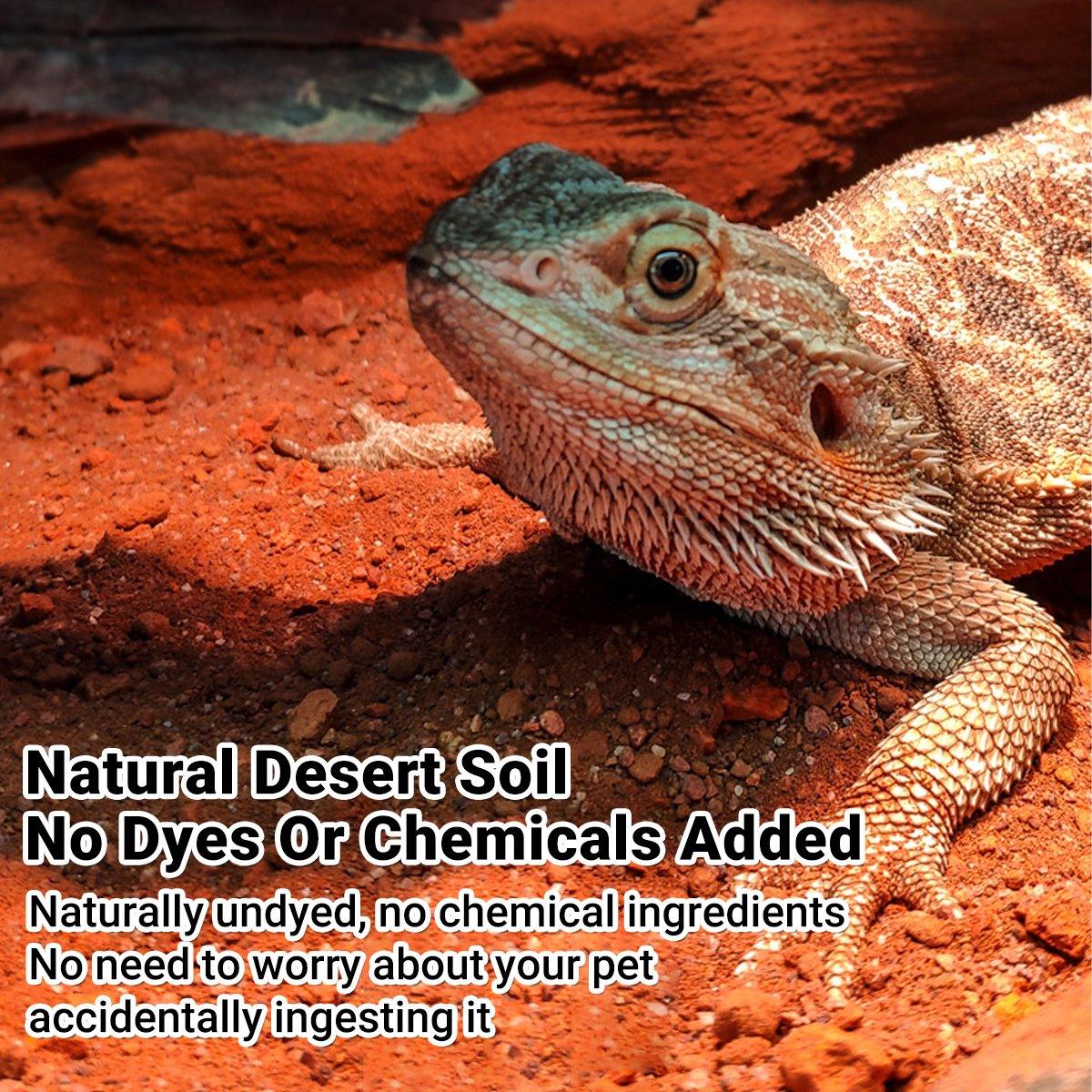 Natural Desert Bedding for Reptiles Safe & Dust-Free