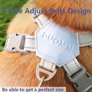 Adjustable Reflective Pet Harness and Leash Set for Small to Large Pets