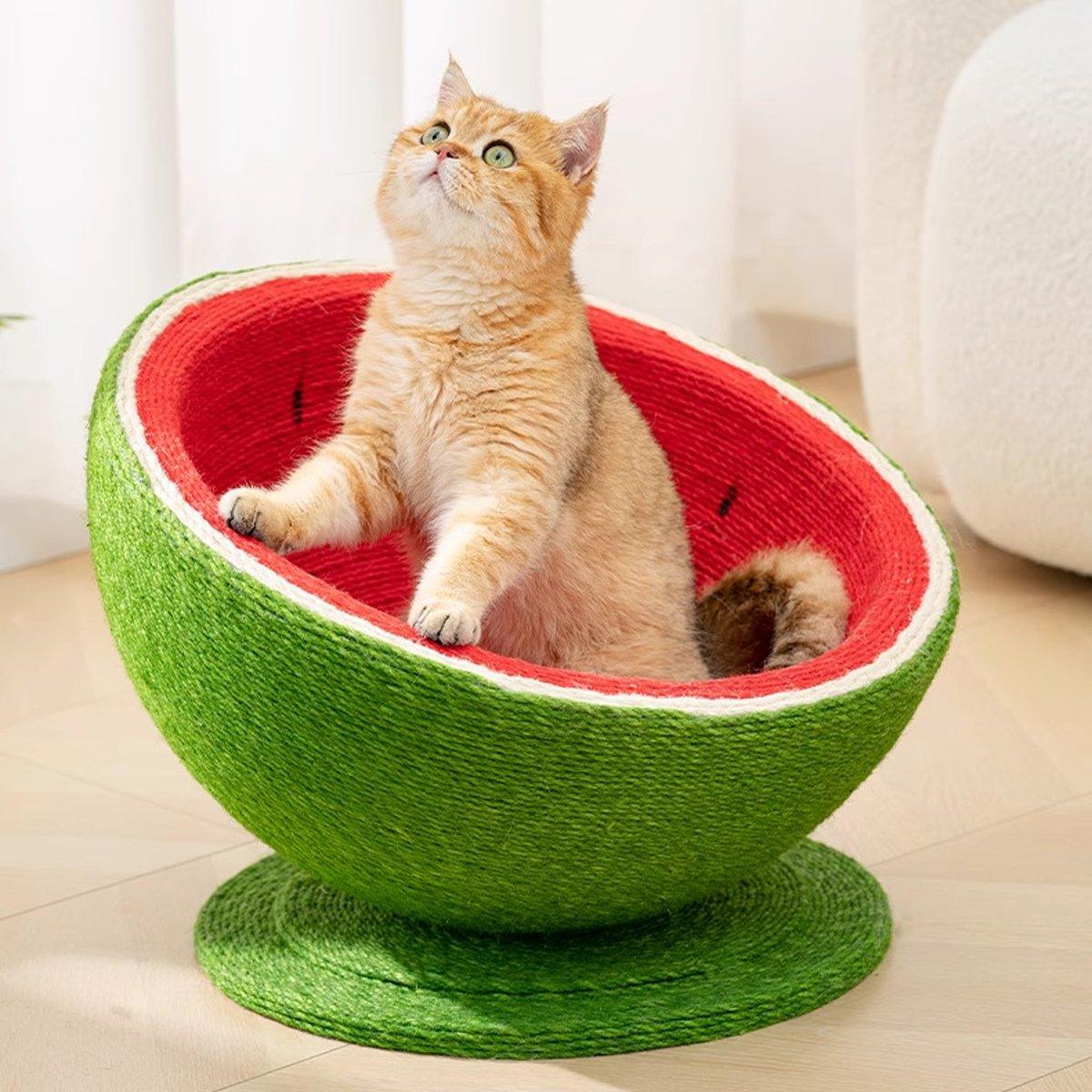 Watermelon Cat Scratching Pot Board Scratcher Toy for Cats Kitten