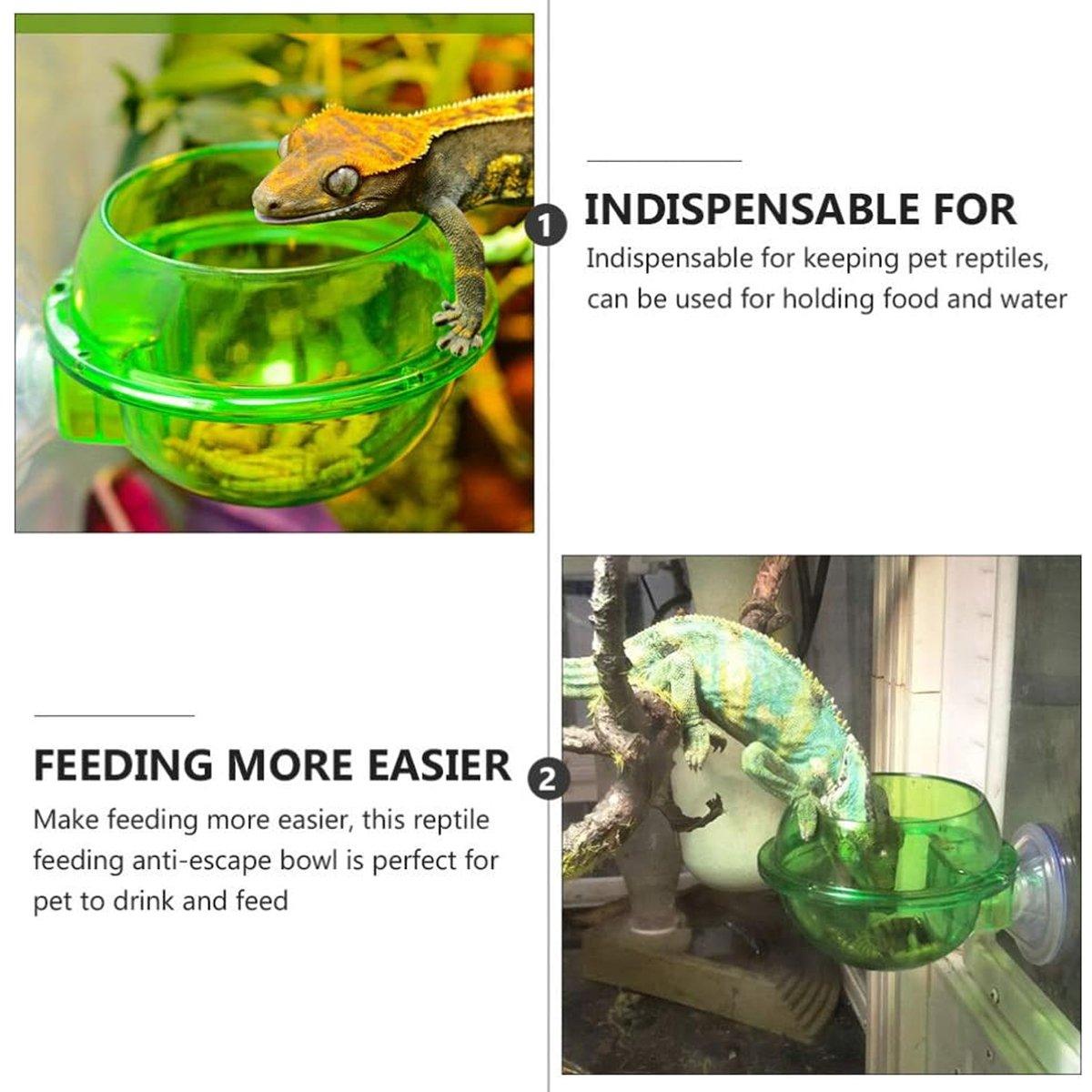 Suction Cup Reptile Feeder Bowl Anti-Escape Feeding Dish for Small Reptiles