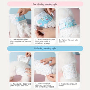 Dog Pet Diaper Physiological Pants Safety Underwear for Puppy Incontinence