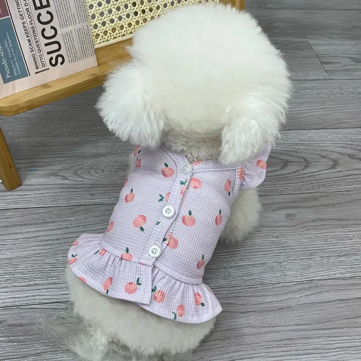 Lightweight Pet Clothes Flying Sleeve Skirt for Small Dogs Puppy Summer Vest