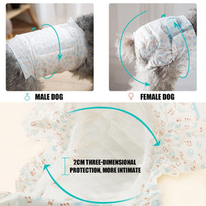 Dog Pet Diaper Physiological Pants Safety Underwear for Puppy Incontinence