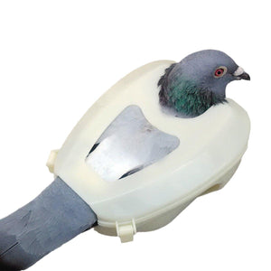 2X Practical Plastic Racing Pigeon Holder Fixed Frame Rack Bird Medicine Feeder