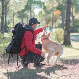 2PCS Soft Dog Training Stick Flexible Pet Training Tool