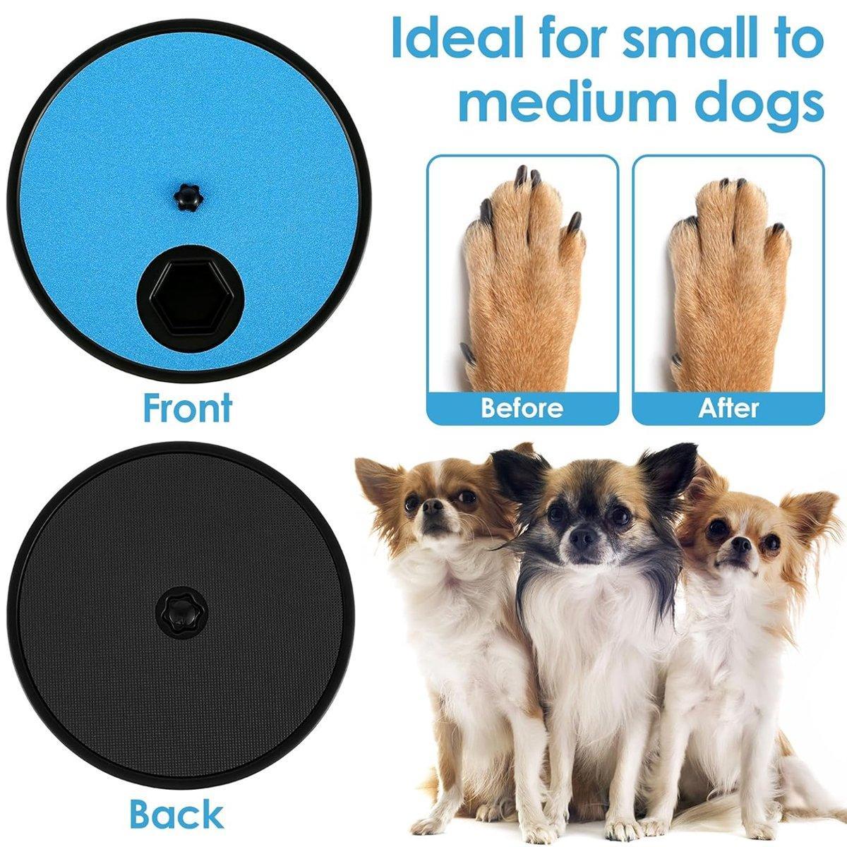 Rotating Dog Nail File Board with Snack Box for Stress-Free Grooming