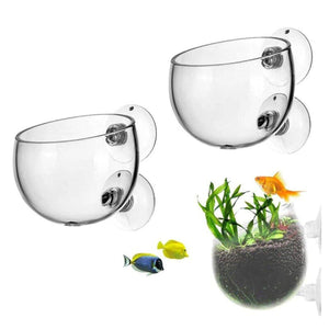 Aquarium Plant Cup for Breeding and Aquascaping Glass Water Plant Holder