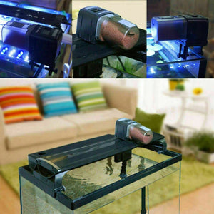 Automatic Fish Feeder Intelligent Control