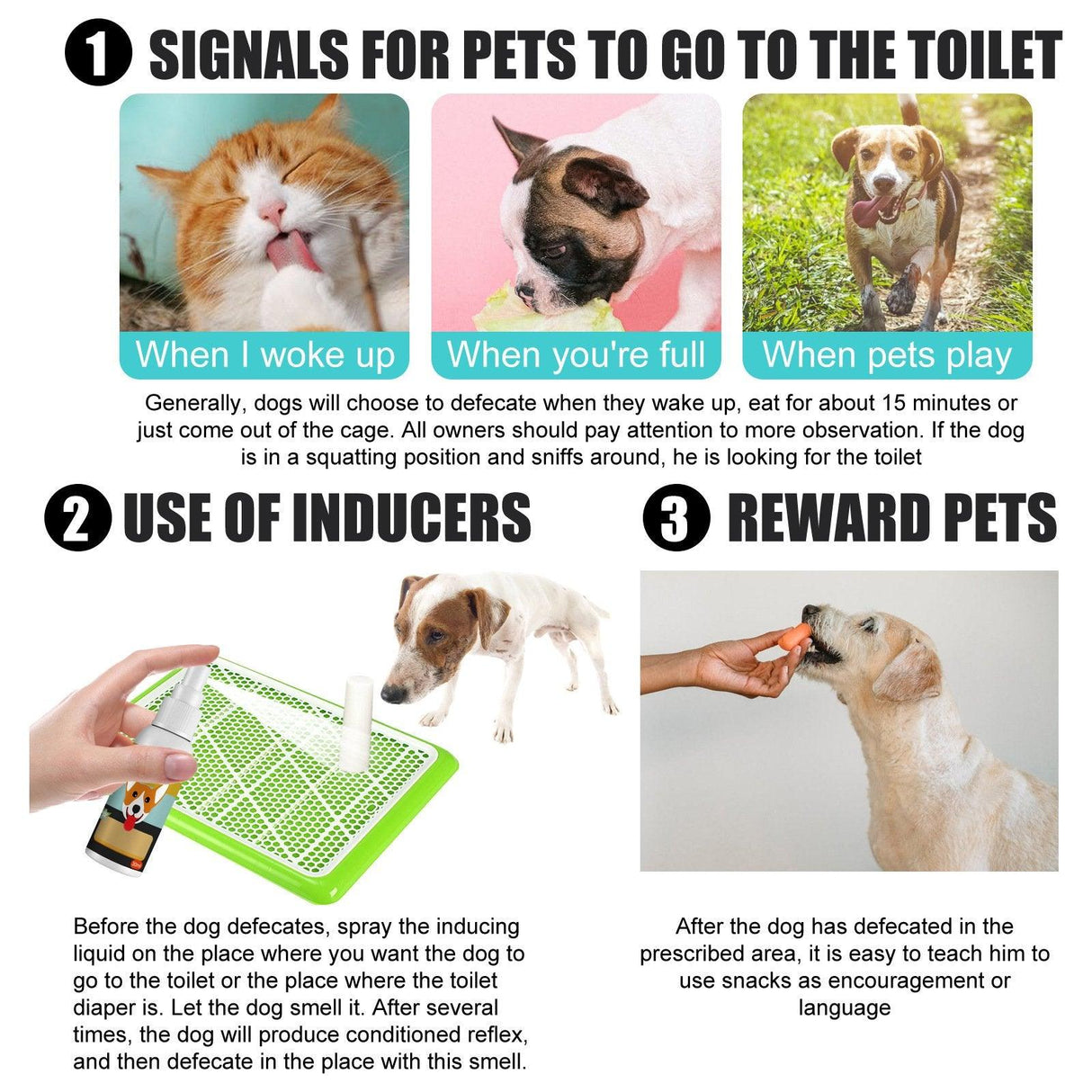 Cat And Dog Defecation Positioning Inducer