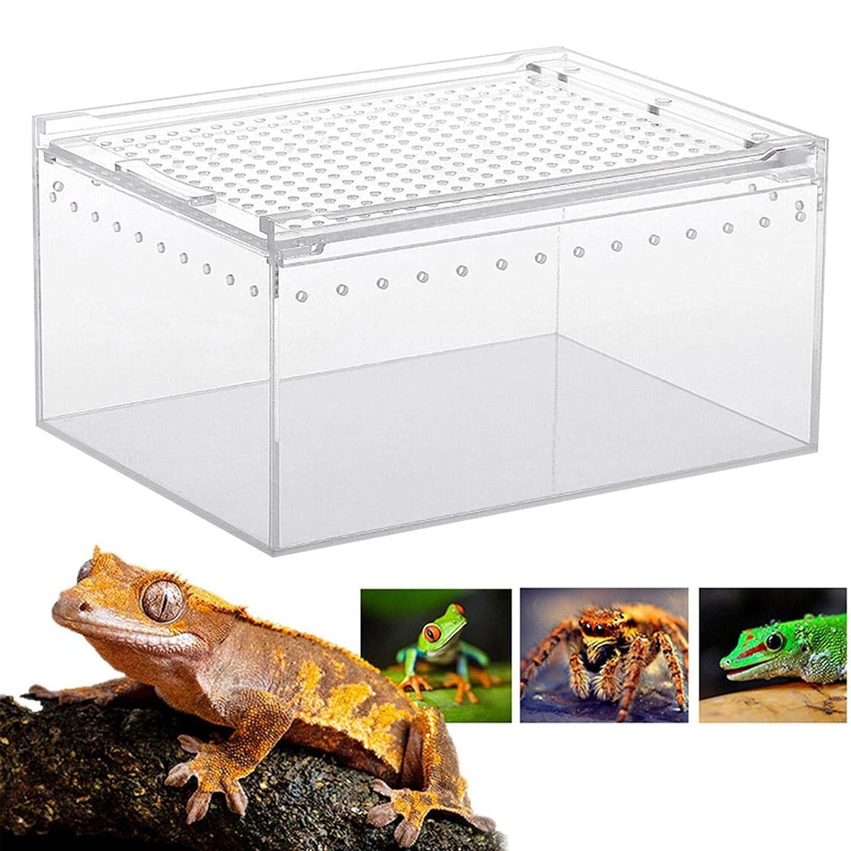 Clear Slide Lid Pet Box Reptile Breeding Habitat Reptile Tank