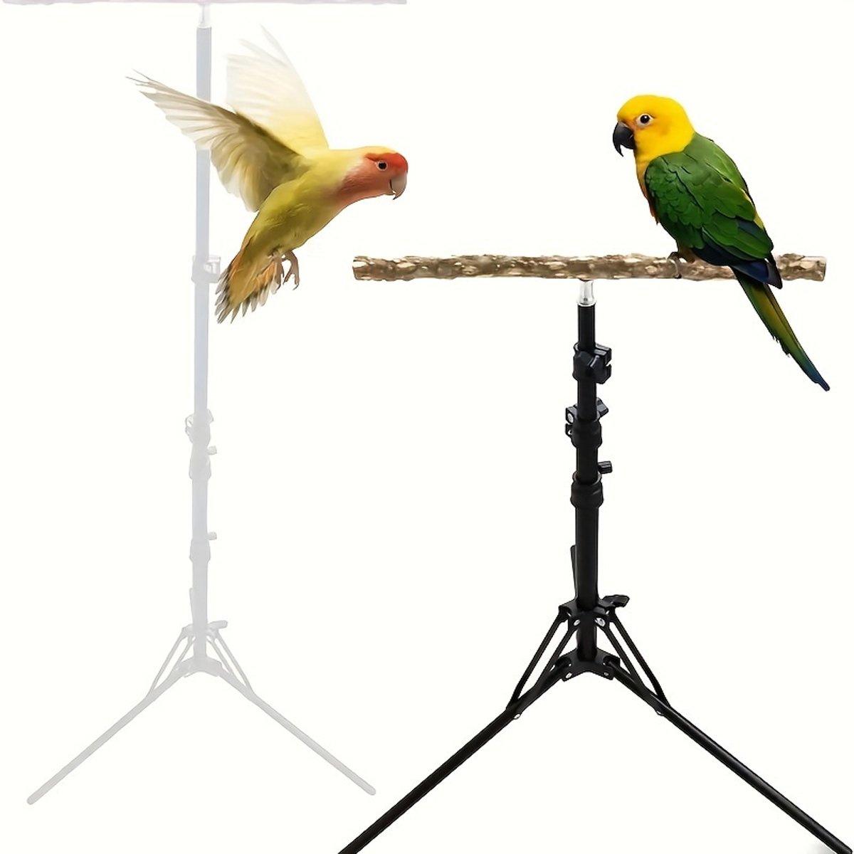 Adjustable Bird Perch Stand Foldable Training & Play Stand for Parrots & Birds