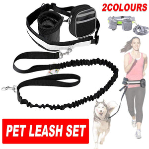 Pet Running Sports Traction Suit Belt Waist Pack Multi-color Reflective Traction Rope Collar Plus Belt