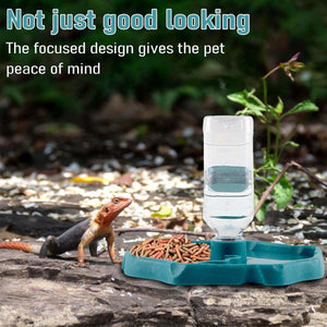 2-in-1 Reptile Feeder & Water Bowl – Dual-Purpose for Small Pets