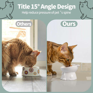 Tilted Ceramic Cat Bowl Ergonomic Design