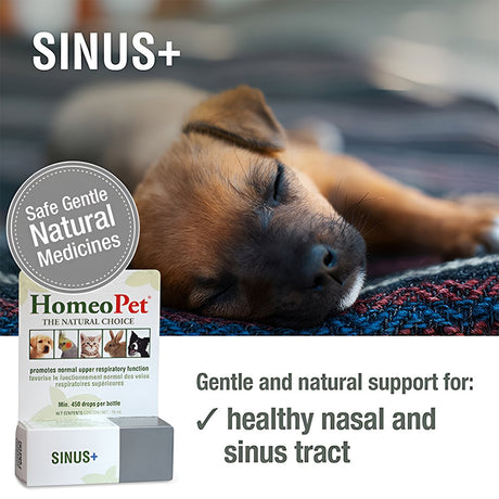 HomeoPet SINUS+ 15ML