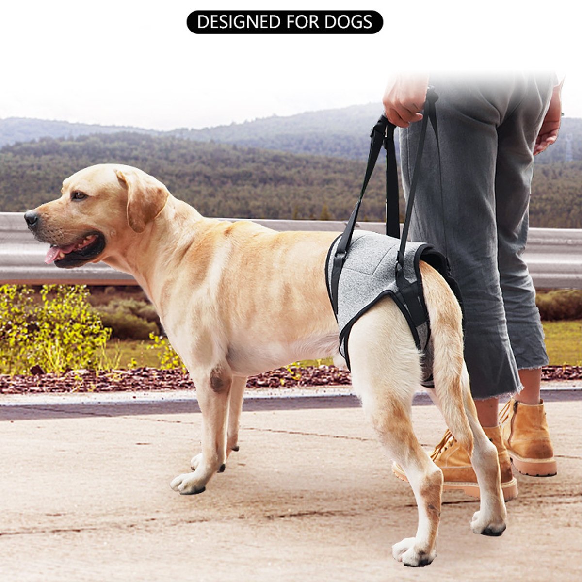 Dog Support Harness for Back Legs  Adjustable Lift Handle Portable (Grey)