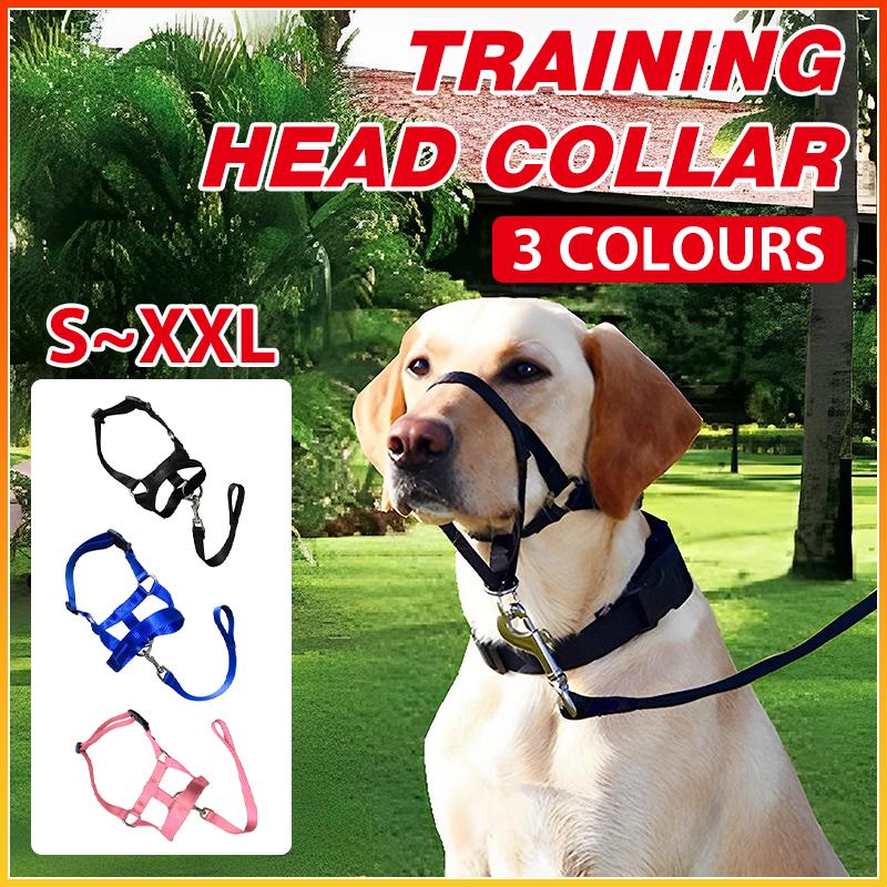 Dog Training Head Collar Halter Stop Pulling Training Tool Harness