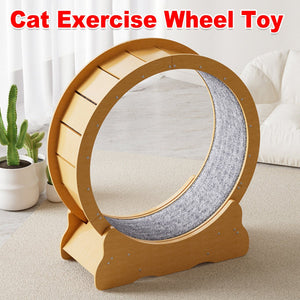 Cat Running Wheel for Indoor Exercise