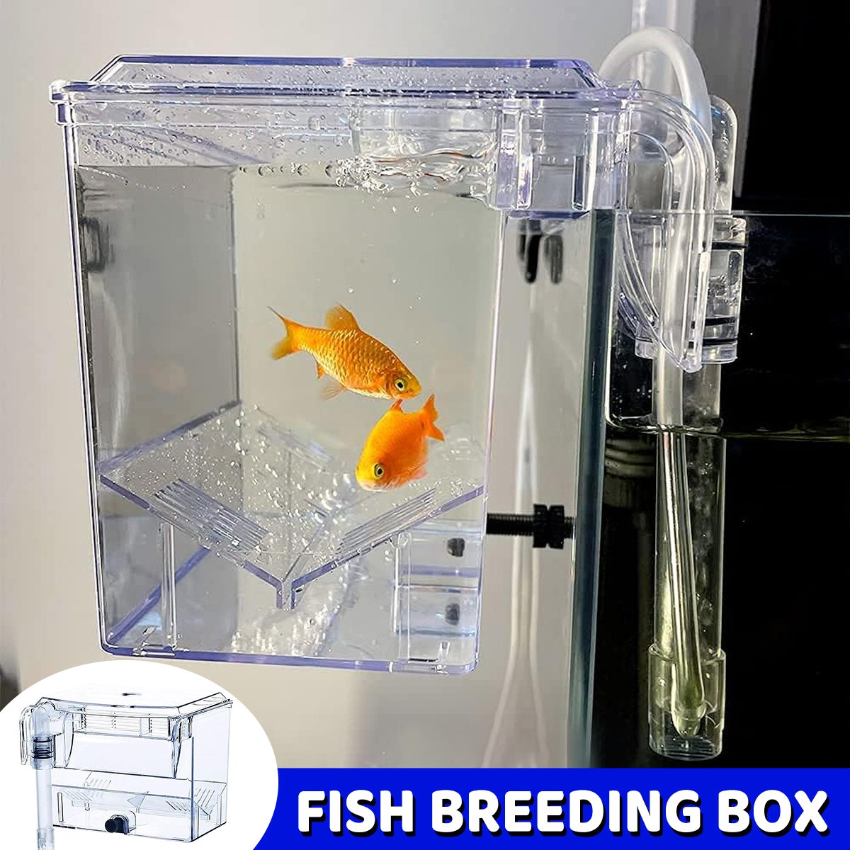 Fish isolation box, durable fish breeding box, transparent aquarium breeding solution