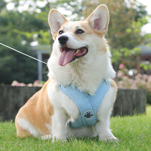 Adjustable Reflective Pet Harness and Leash Set for Small to Large Pets