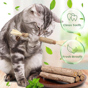 Cat Dental Health Silvervine Sticks Natural Chew Toy